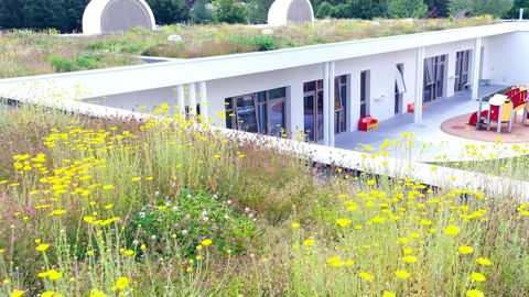 Selon l’observatoire du marché, les créations/réalisations de toitures et façades végétalisées s’élèvent à plus de 220 millions d’euros /an. Ici Biotopes Création, un chantier réalisé avec une solution Optigreen, tous deux membres de l’Adivet. ©Biotopes Création/Optigreen